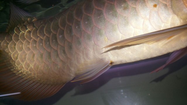 WhatsApp Image 2016-11-08 at 10.14.28 PM.jpeg