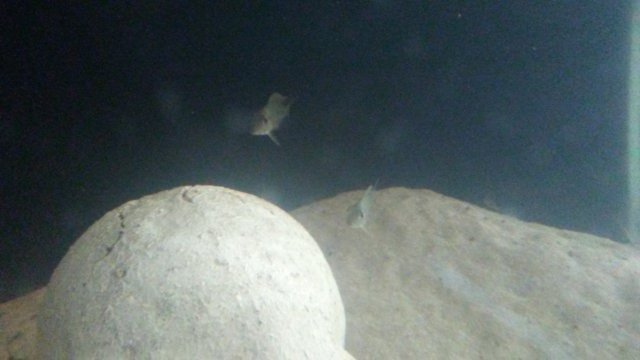 20161110_121826.jpg 20161110_121826.jpg