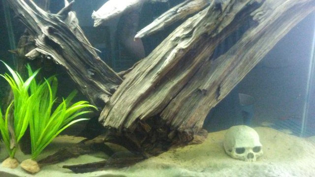 20161110_121950.jpg 20161110_121950.jpg