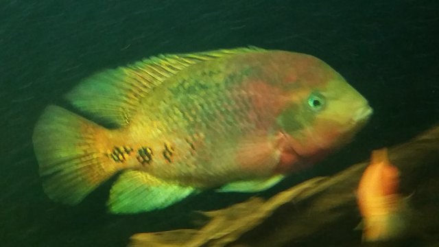 20161111_114246.jpg 20161111_114246.jpg