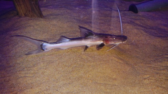 20161111_181023.jpg
