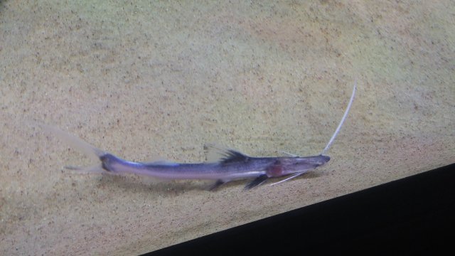 20161111_094739.jpg