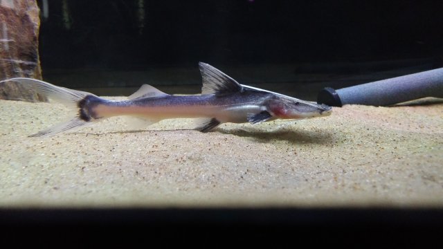 20161112_082153.jpg