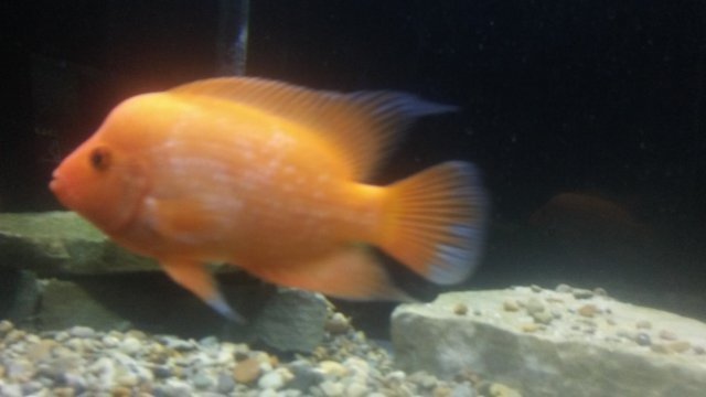 20161110_222425.jpg