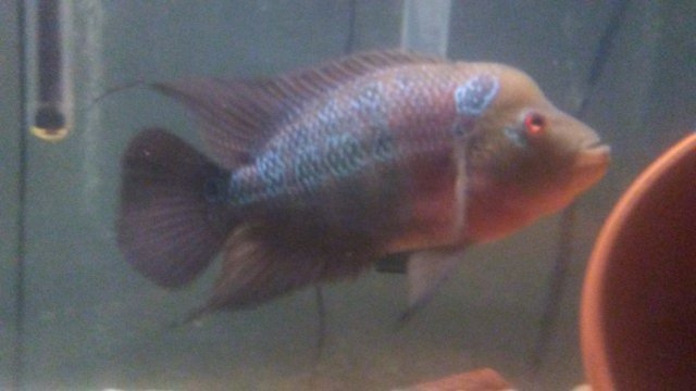 20161110_151746.jpg