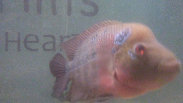 20161110_151741.jpg