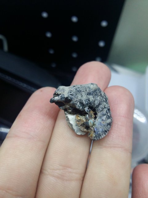 20161113_113731.jpg