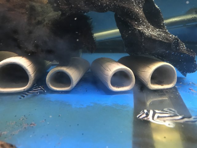 IMG_0200.JPG IMG_0200.JPG