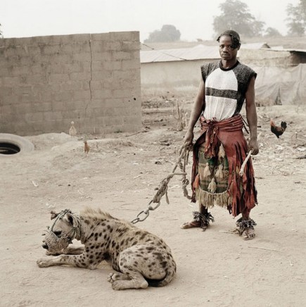 hyenaafricanpet.jpg