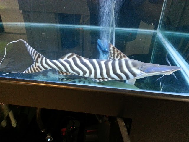 20161026_165048869.jpeg