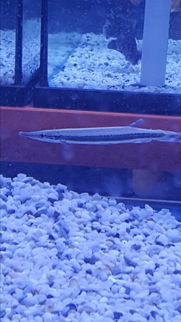 20161118_155637.jpg