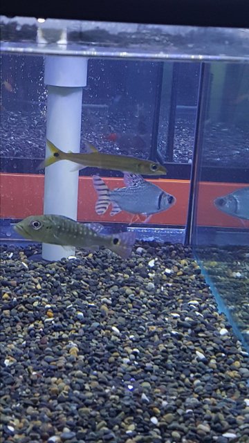 20161118_155713.jpg