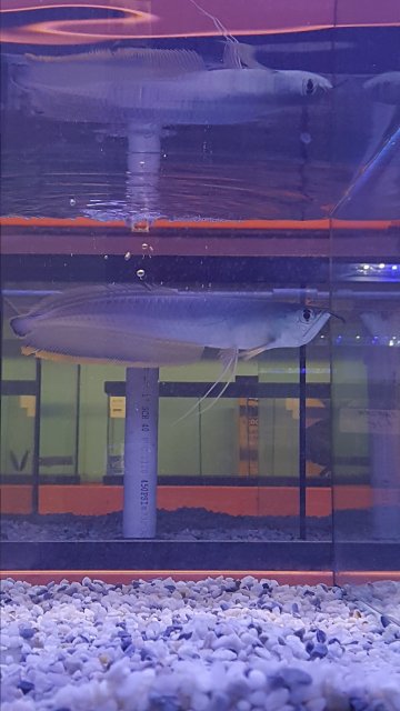 20161118_155722.jpg