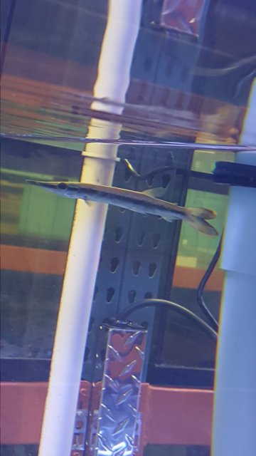 20161118_192325.jpg