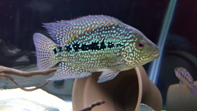 20161119_202631.jpg