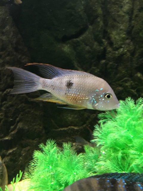 IMG_1291.JPG IMG_1291.JPG