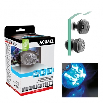 Moonlight LED 01.jpg