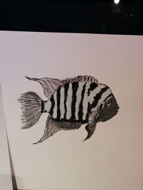 received_10153739020524509.jpeg