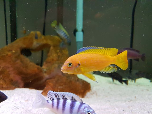 20161103_095258.jpg