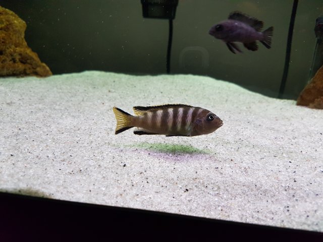 20161103_112414.jpg