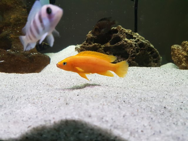 20161121_231320.jpg