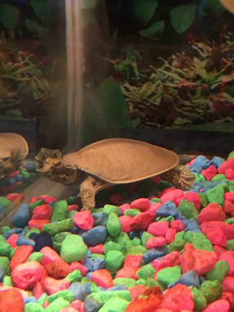 IMG_1283.JPG IMG_1283.JPG