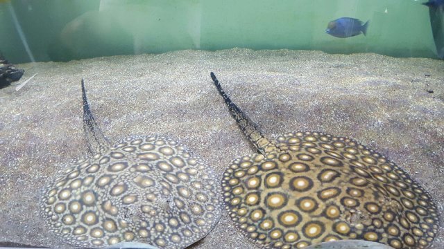 Resized_20160428_150808.jpeg