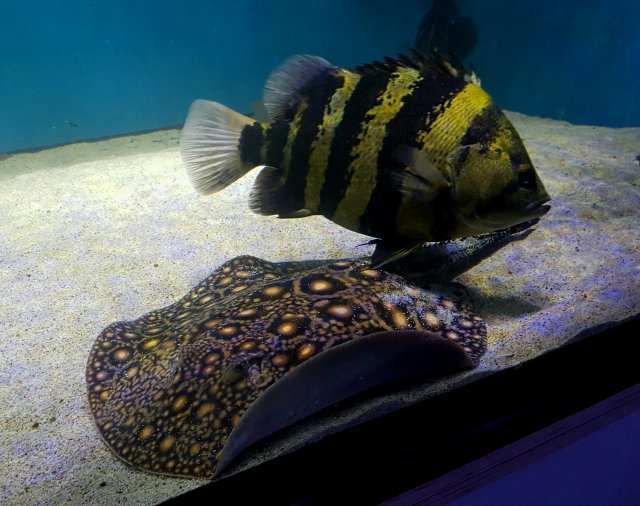 20161116_211314.jpg