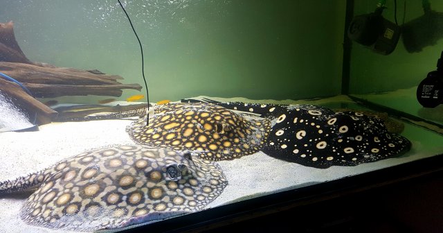 20161010_191325.jpg