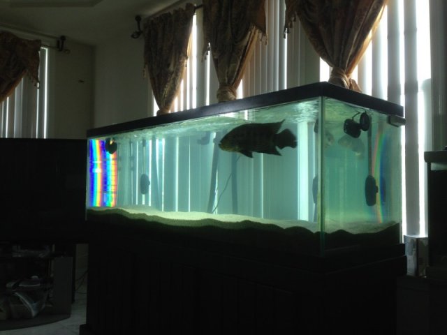 IMG_6128.JPG IMG_6128.JPG