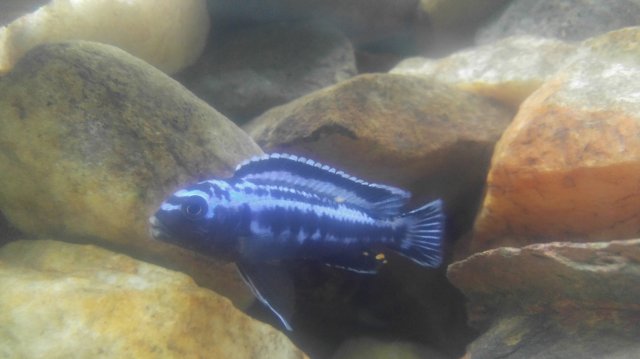 1480056098489678951058.jpg 1480056098489678951058.jpg