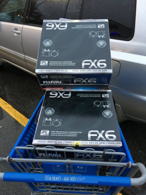 IMG_1606.JPG IMG_1606.JPG