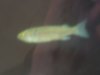 DSCF0421.JPG