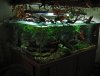 IMG_1619.JPG