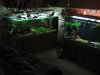 IMG_1620.JPG
