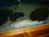 DSC01552.JPG
