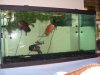 100_2591.JPG
