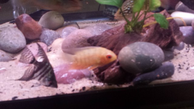 20161129_164110.jpg 20161129_164110.jpg