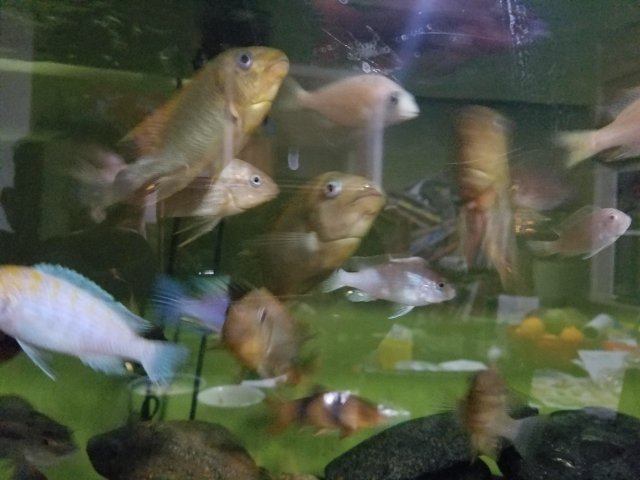 20161129_173242.jpg