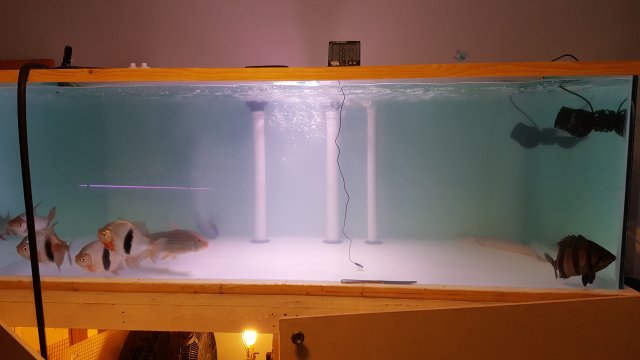 20161122_203822.jpg