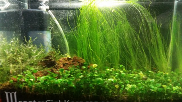 20161130_153026.jpg