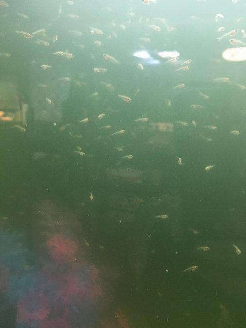 IMG_7460.JPG