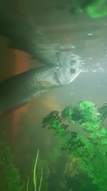20161130_155820[1].jpg