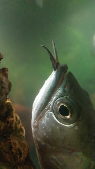 20161130_180822[1].jpg
