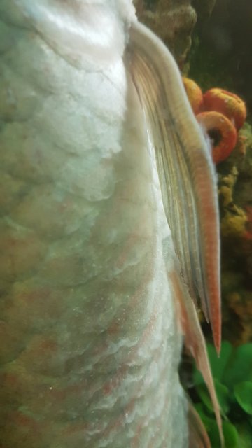 20161130_180543[1].jpg