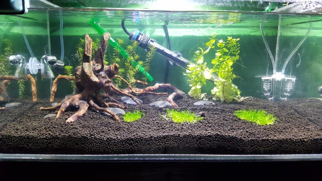 20161130_175804.jpg