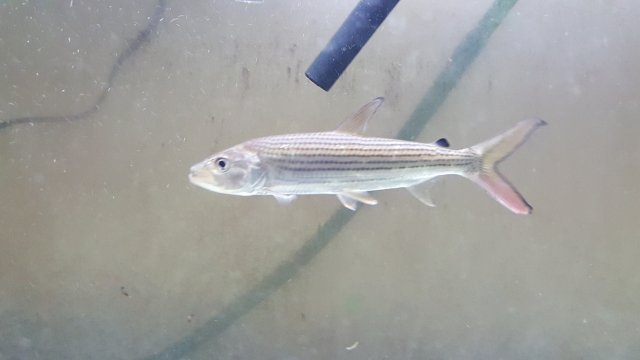 20161119_150652.jpg 20161119_150652.jpg