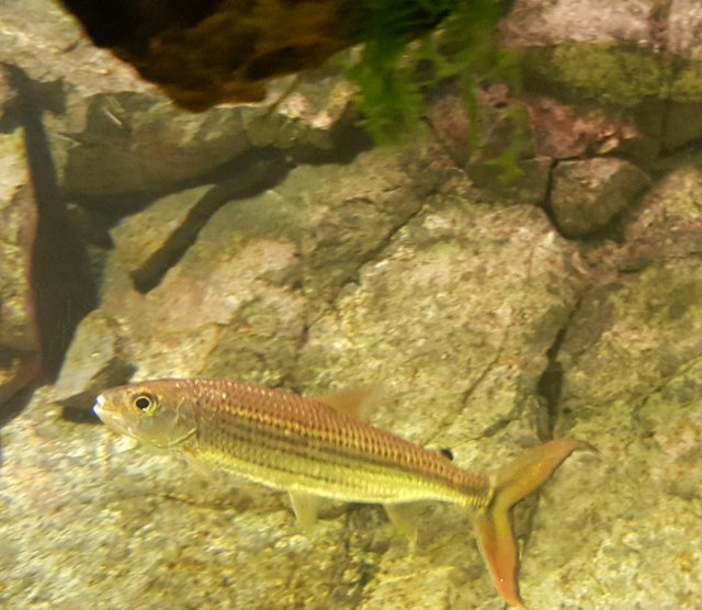 20161023_193529-1.jpg 20161023_193529-1.jpg