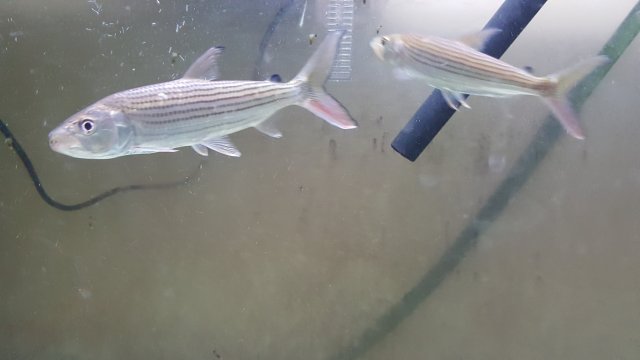 20161119_150642.jpg 20161119_150642.jpg