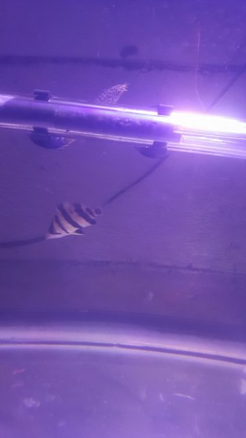 20161128_160334.jpg 20161128_160334.jpg
